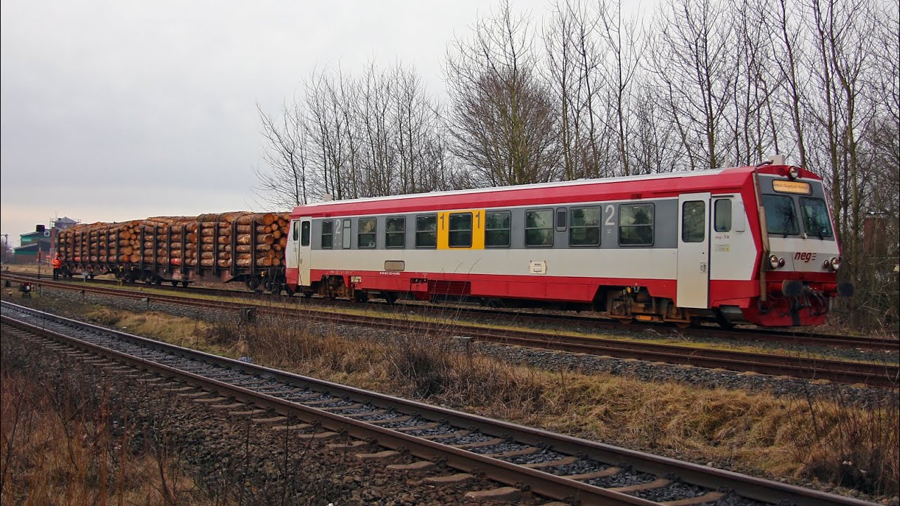 Holztransporte bei der neg Niebüll mit Triebwagen