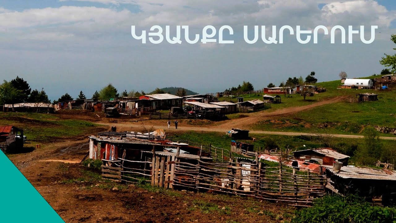 Սարերում անհետացածները. Սրբասարի սոված արջերի ու գայլերի կռիվը