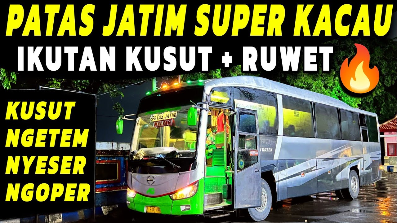 KUSUT MAMPUS 🔥 BUS PATAS JATIM ABAL² ‼️ NGETEM, NYESER, KUSUT  Trip Report Kusut Naik Bus AKAS PATAS