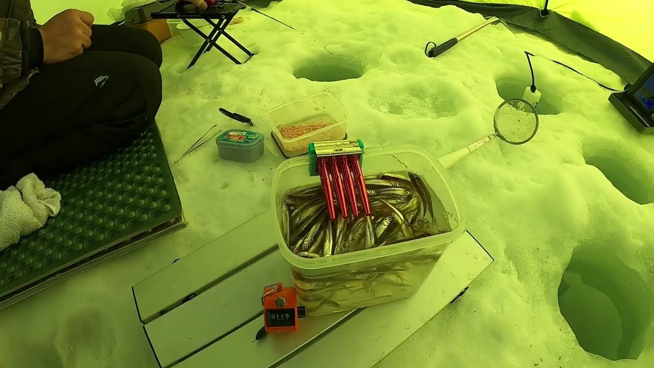 桧原湖氷上ワカサギ釣り。とんでもない物が釣れちゃいました‼
