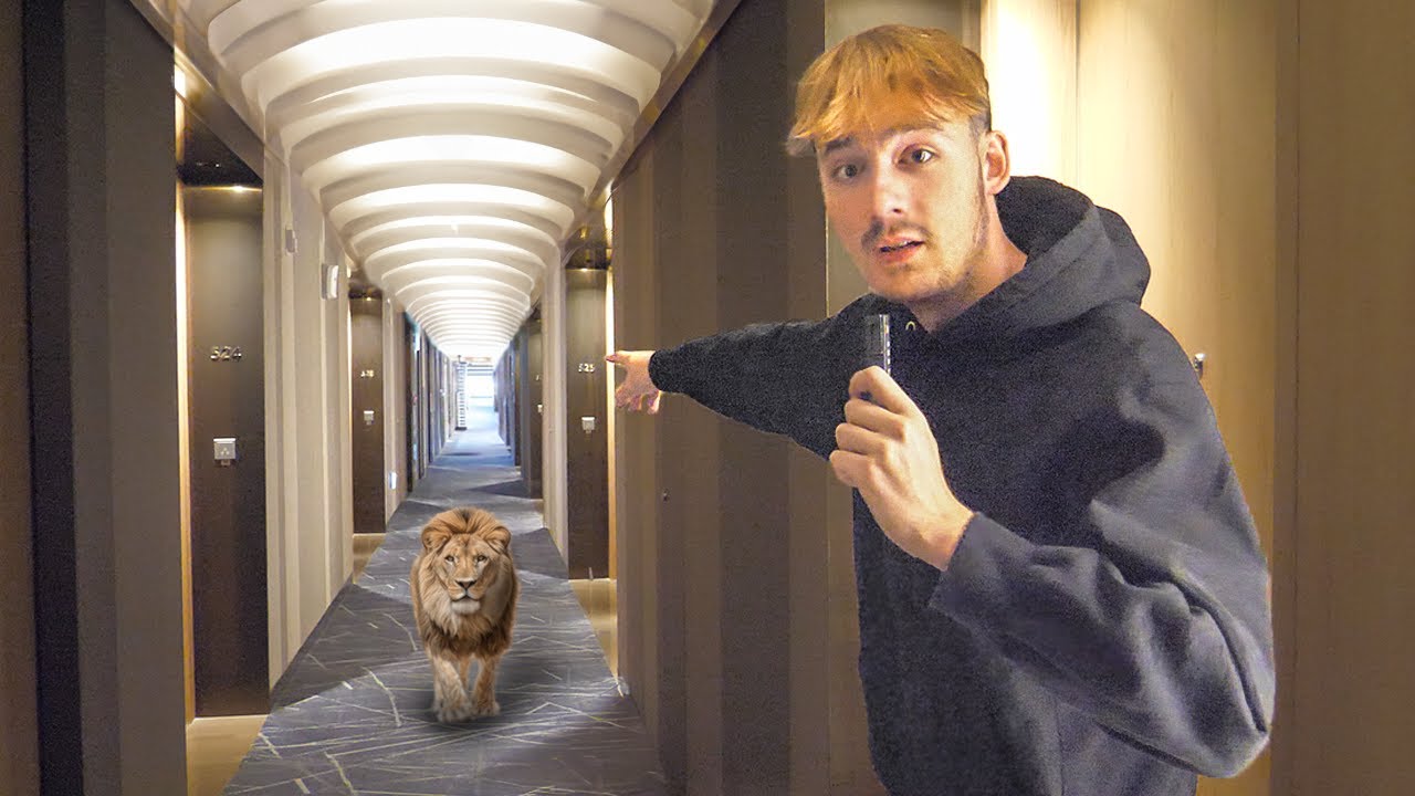 ASMR IN HOTEL (In Seoul)