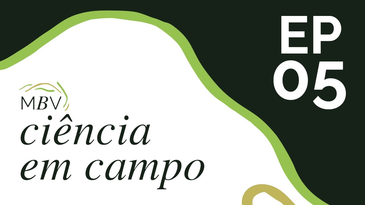 05: Segurança Jurídica part. Dra. Kezia Miranda
