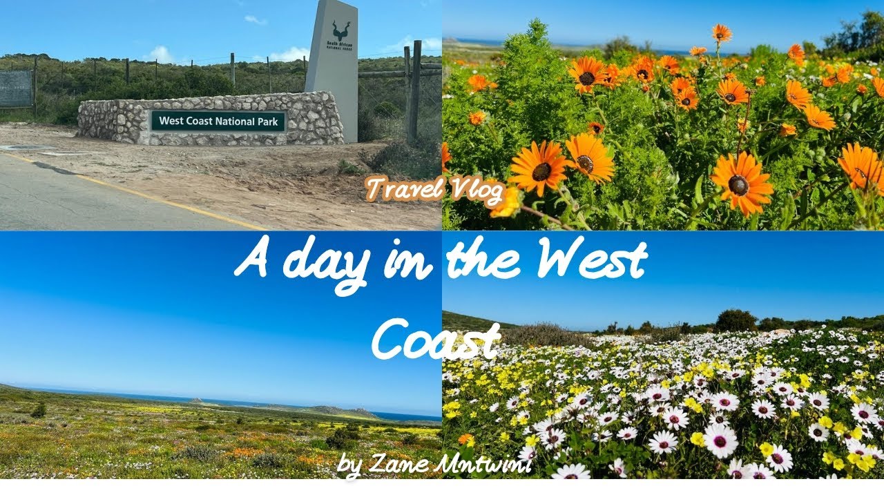 VLOG: Cape Town to the West Coast National Park| Flower season | Unmatched #southafricanyoutuber 