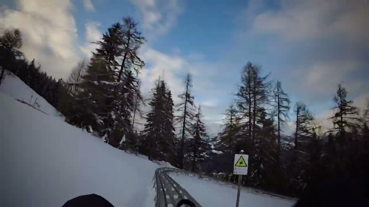 Luge sur Rail