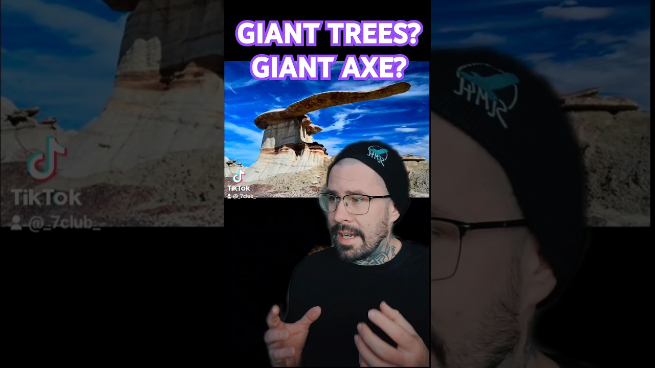 ARE THESE GIANT TREES? IS THIS A GIANT AXE?