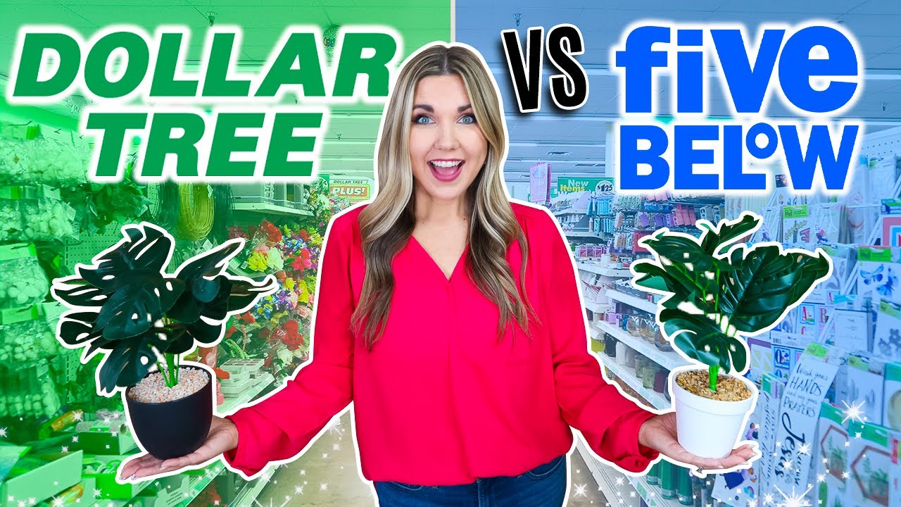 Dollar Tree vs. Five Below...Which Store Is Better?