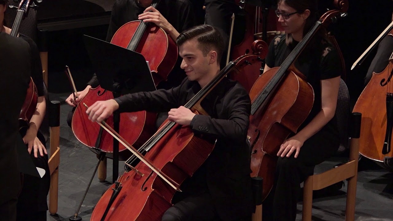 Dmitri Shostakovich:  chamber symphony in C minor Op. 110A (arr. R. Barshai)