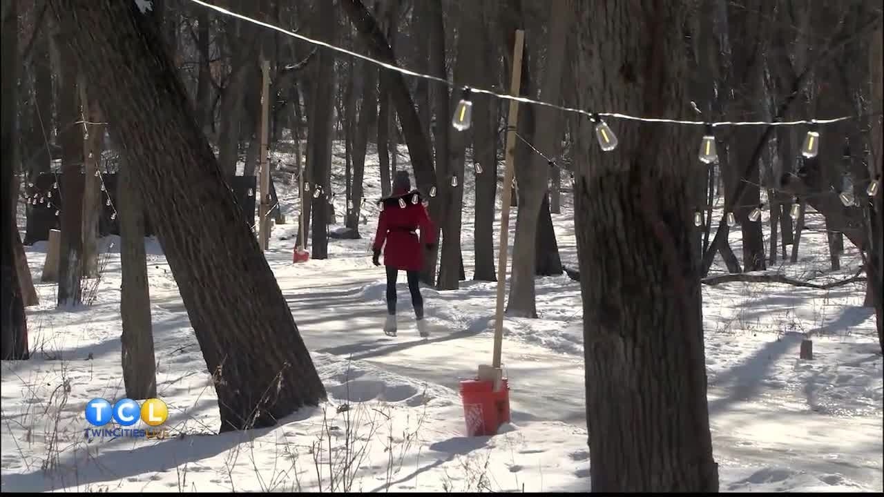 В Гастингсе на ограниченное время открылась новая ледовая трасса для катания на коньках через лес.