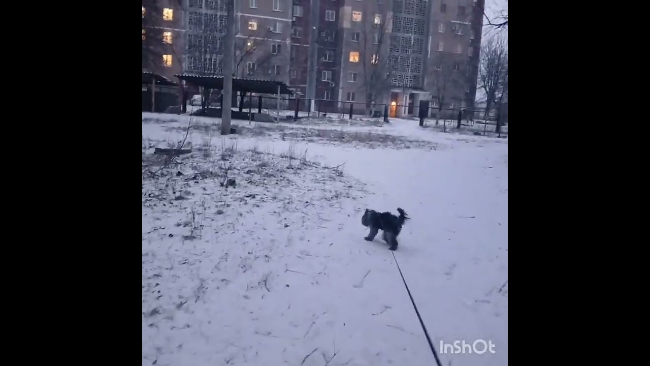 Пока про дочку новостей нет.Еще в дороге.