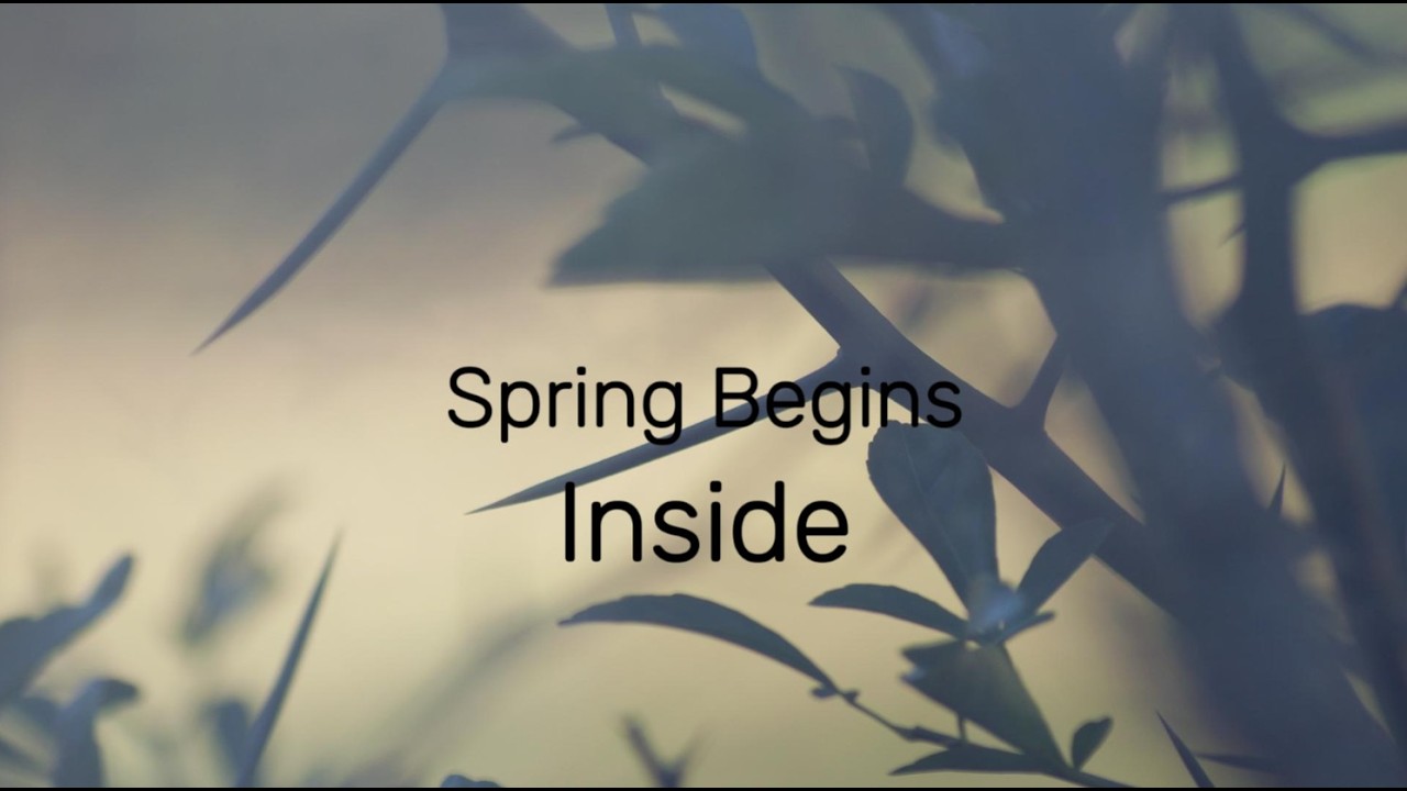 Starting Seedlings Indoors While Winter Still Lingers