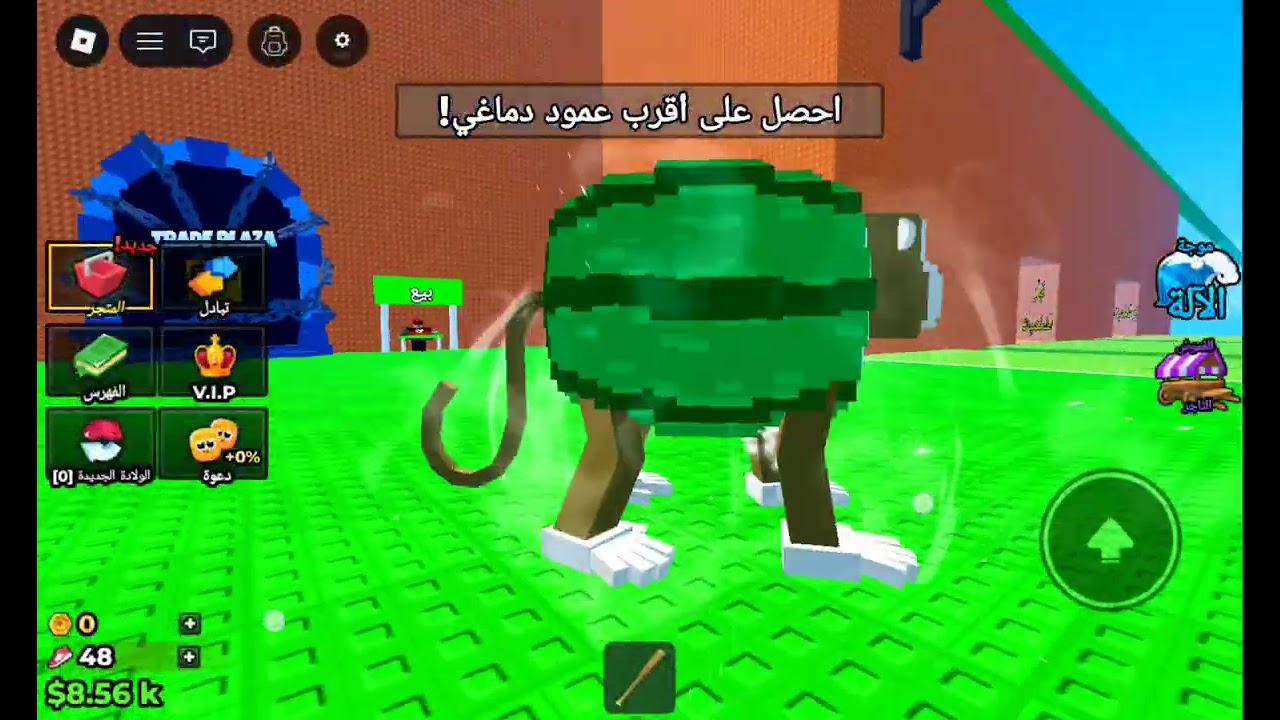 ٢١ فبراير ٢٠٢٦