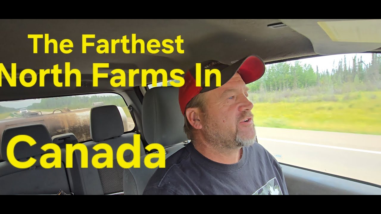 The Most Northern Farms In Canada!  Picking up a Swather
