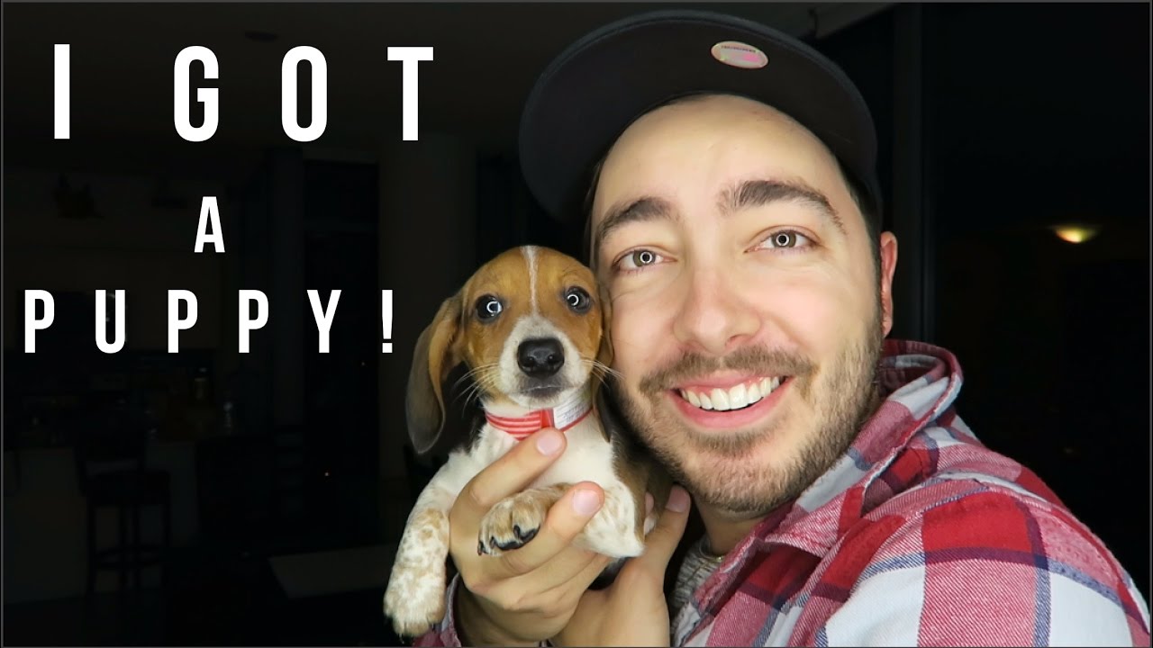 I GOT A PUPPY!