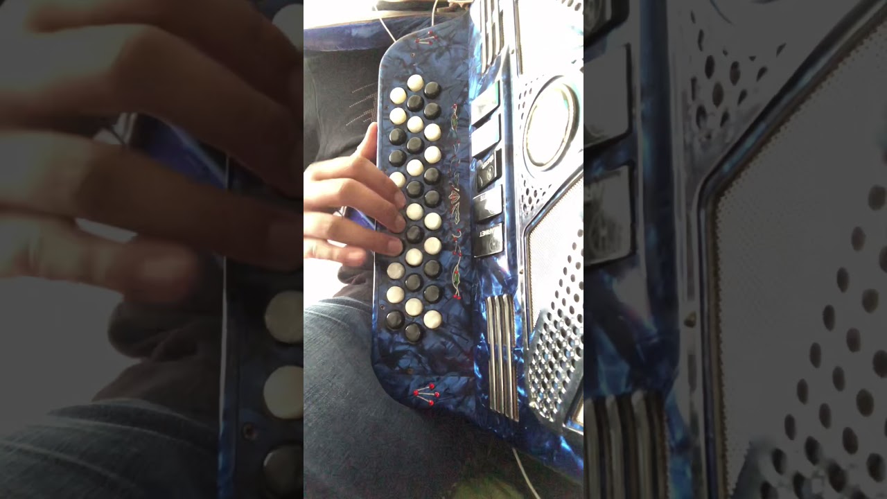 Si una vez Acordeon cover latente