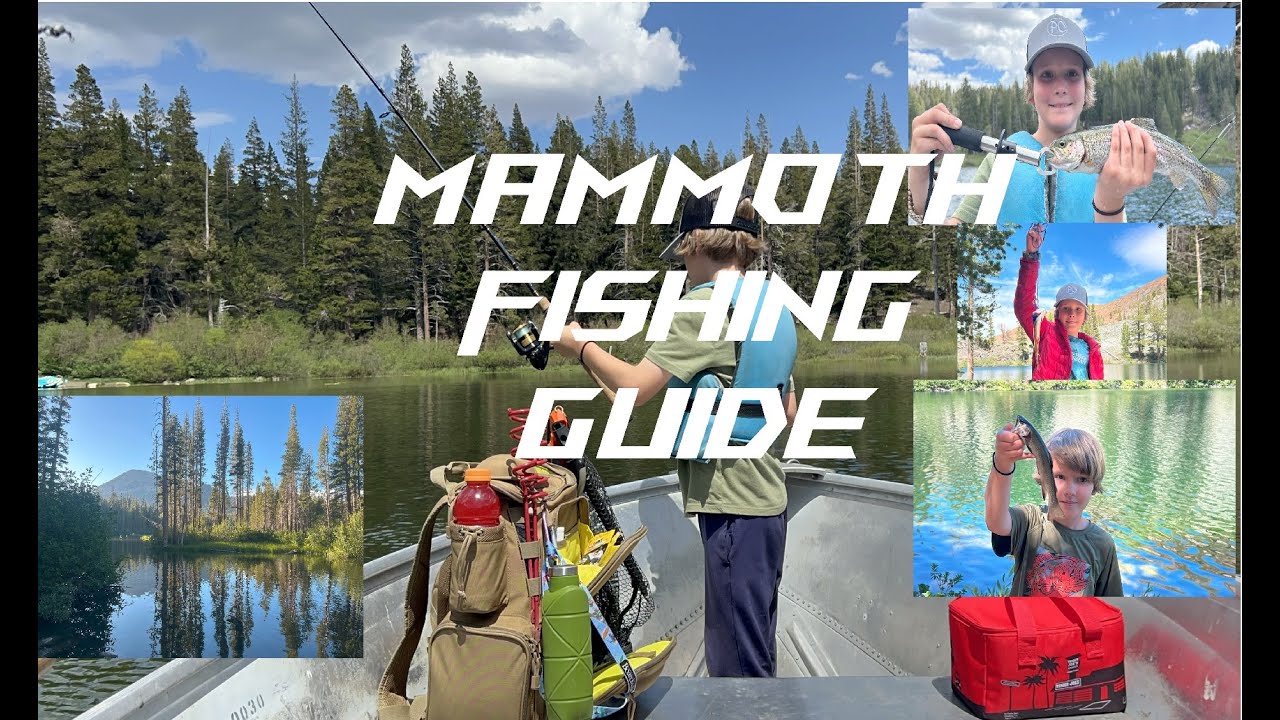 Fishing in Mammoth (How to fish Mammoth Lakes guide)