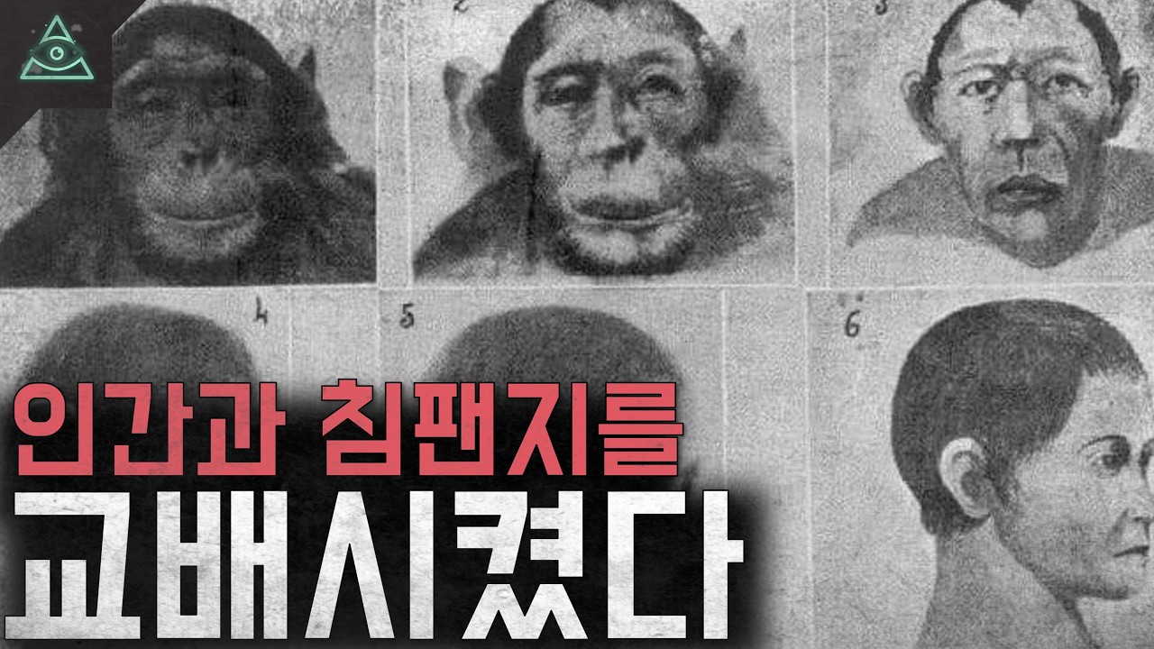 인간과 침팬지의 이종교배 역사상 최악의 실험 '휴먼지 프로젝트'