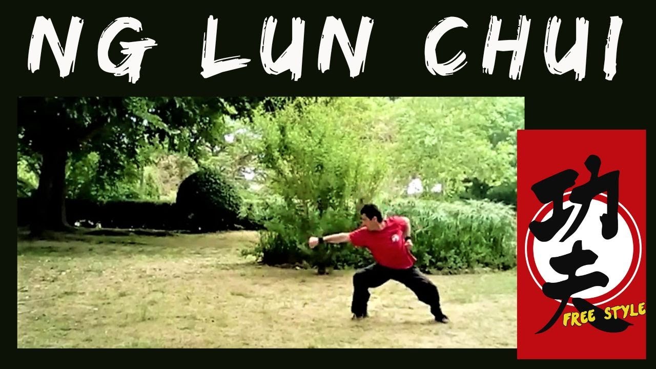 Ng Lun Chui//Choy Lee Fut-2ª forma básica
