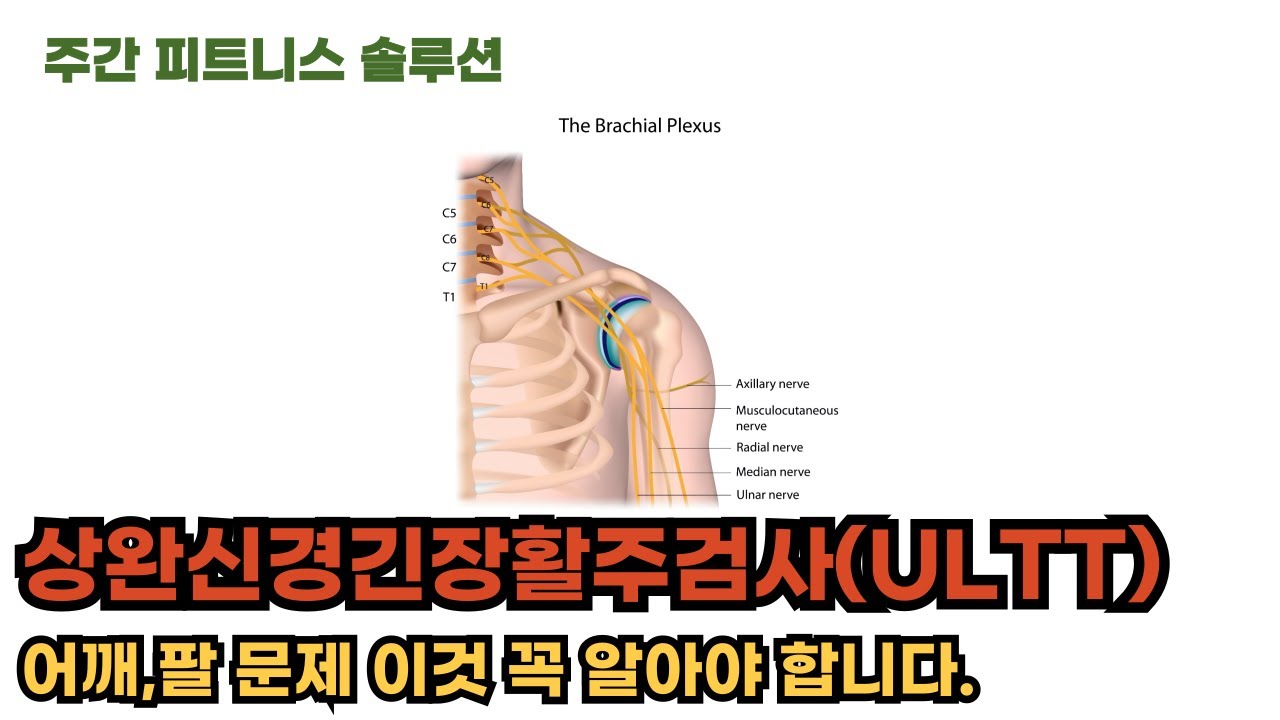 (주간피트니스솔루션 32주차) 전문가라면 어깨,팔 문제에 이것 꼭 알아야 합니다.