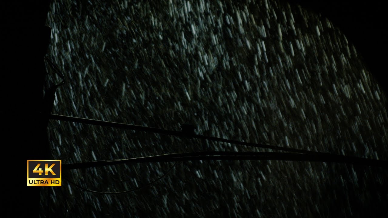 music while snow falls | 4K Ambient Visualizer