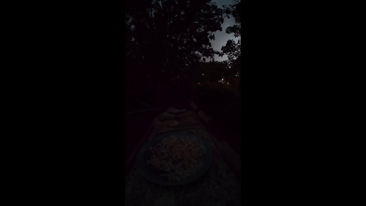 'BNS