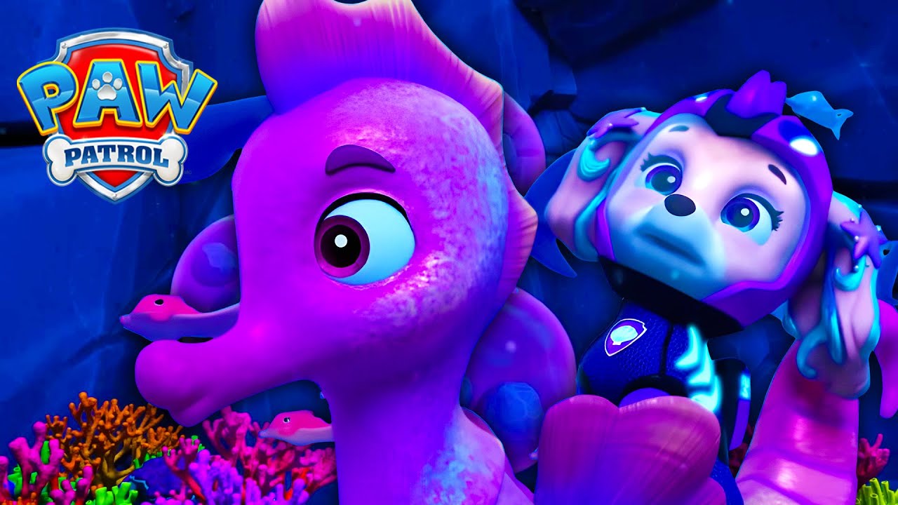 Aqua szczeniaki na ratunek! 💦 - Psi Patrol PAW Patrol po polsku