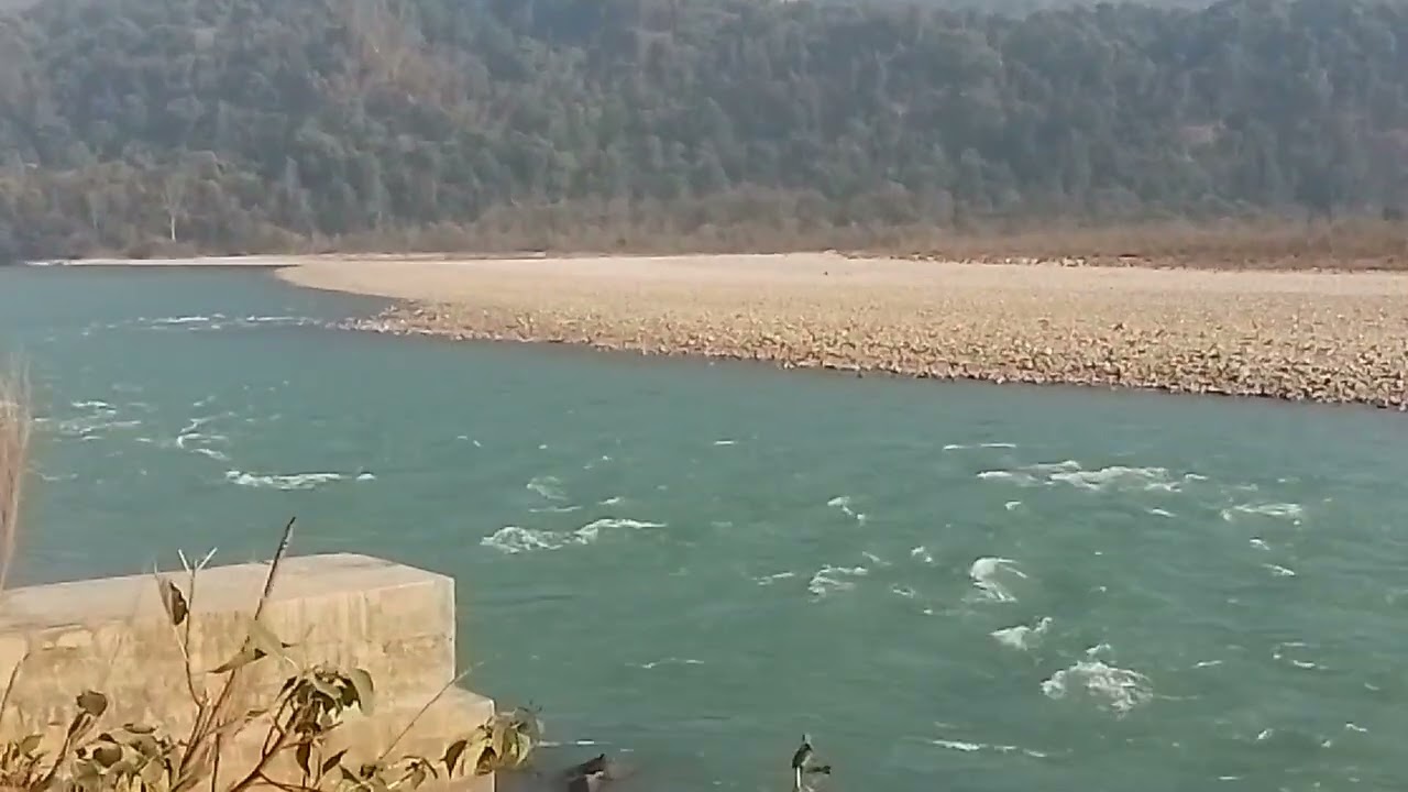 इस वीडियो में कुछ तो है ||पूरी दुनिया देख रहीं हैं 😱😱आप भी चौक जाओ 