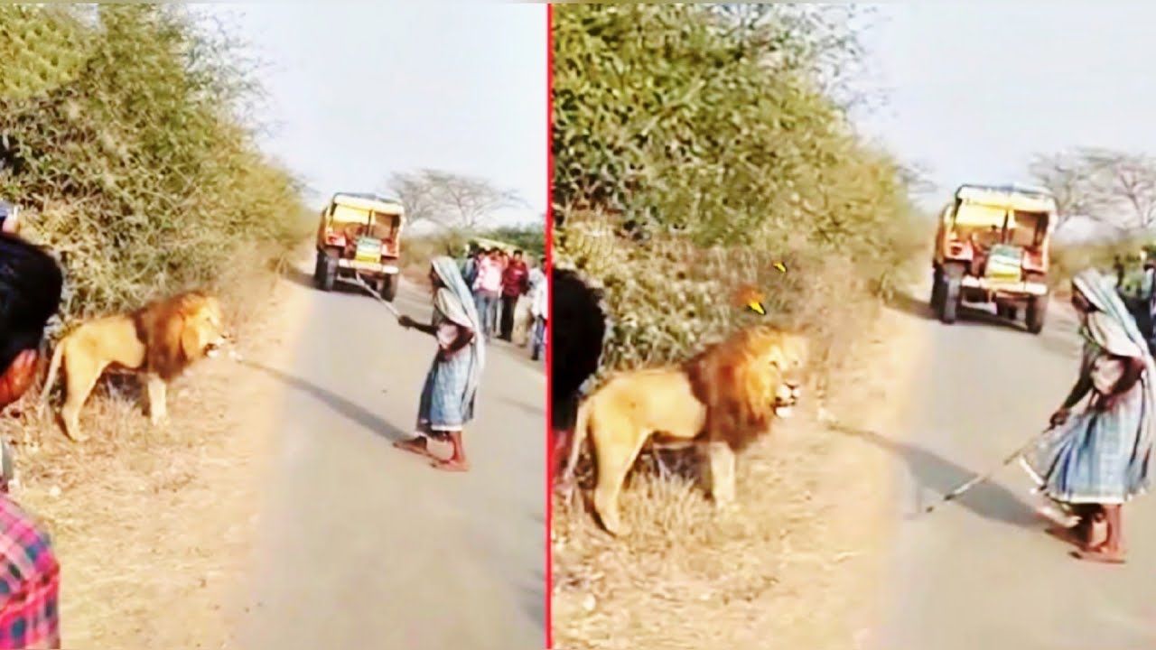 கேமராவில் பதிவான மிரள வைக்கும் நம்ப முடியாத சம்பவங்கள்/Unbelievable Moments Caught On Camera
