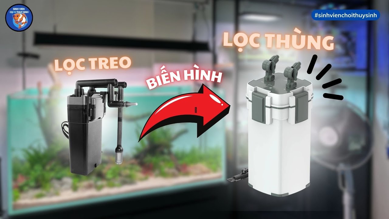 Biến LỌC TREO thành LỌC THÙNG thuỷ sinh siêu đơn giản bằng cách này | Sinh Viên Chơi Thuỷ Sinh