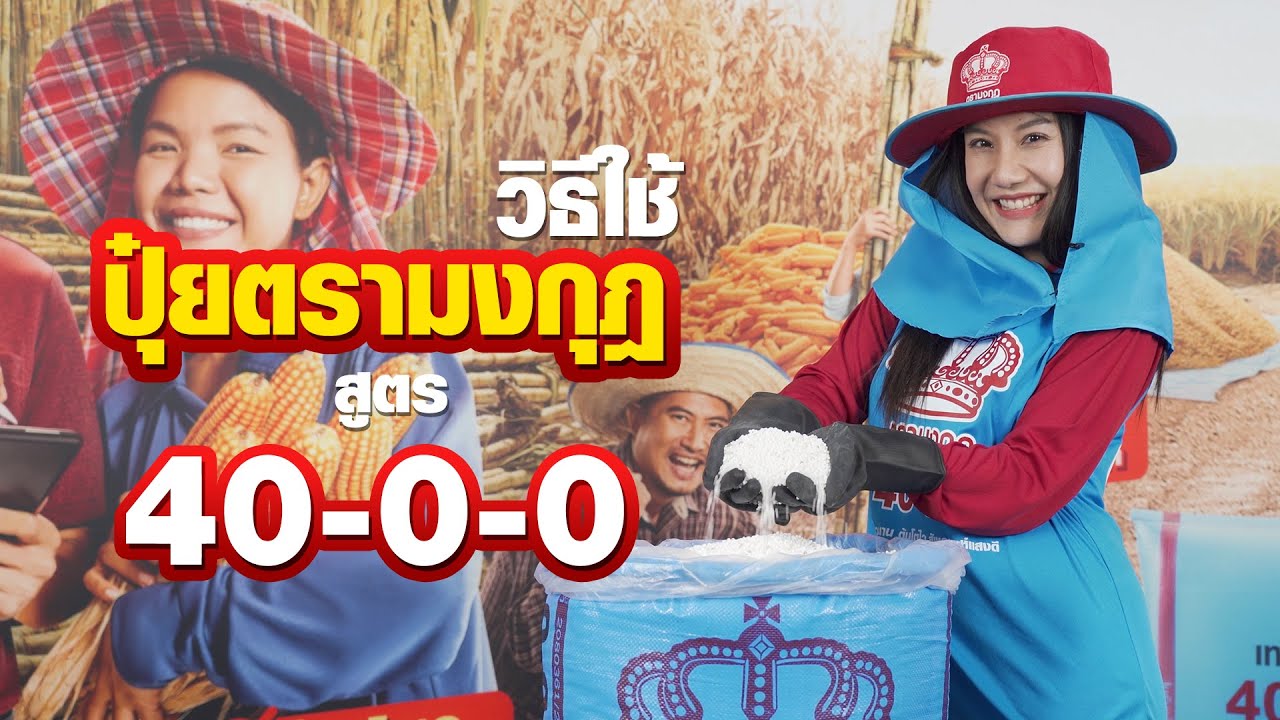 &lsquo;ปุ๋ยตรามงกุฎ สูตร 40-0-0&rsquo; ยืนหนึ่งเรื่อง เขียวนาน โตไว ใบตั้ง