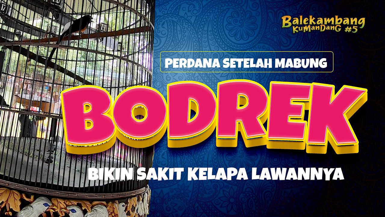 GOPRO MURAI BODREK, Penampilan Pertama Setelah Mabung Di BALEKAMBANG KUMANDANG SOLO