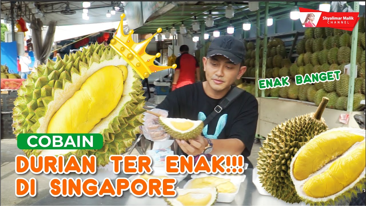 MAKAN DURIAN TER ENAK DI SINGAPORE | SAMPAI MABOK DURIAN