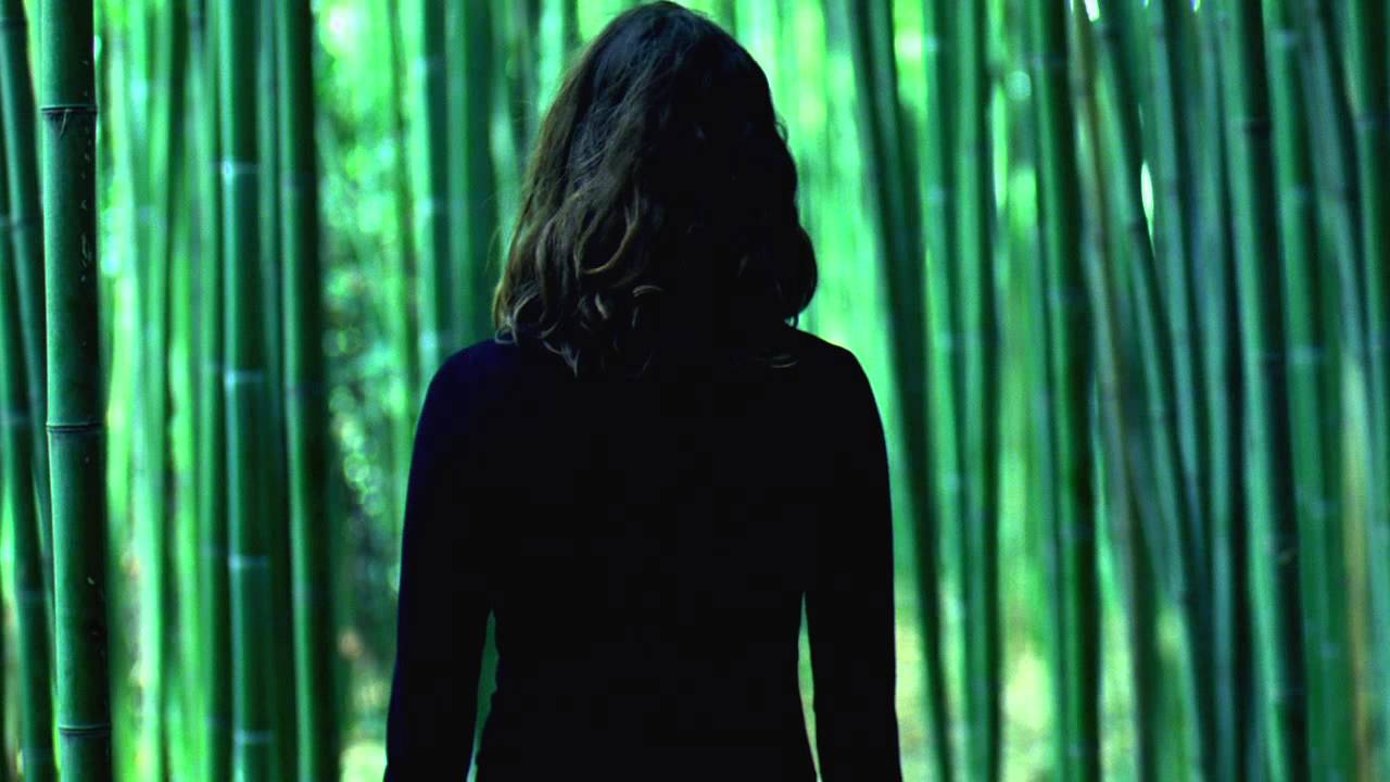 Doug Aitken Altered Earth Installation