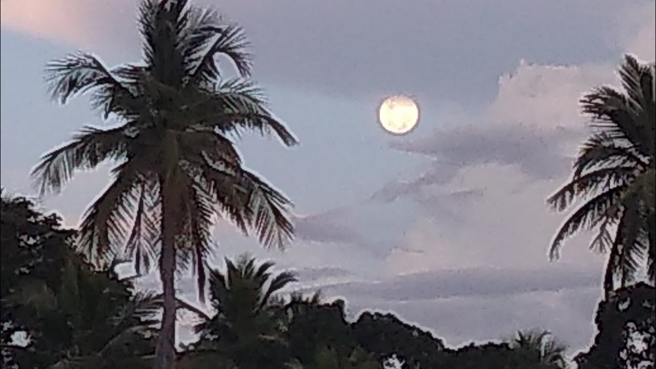 LINDAS IMAGENS DA LUA CHEIA AO ENTARDECER AQUI ONDE MORO.