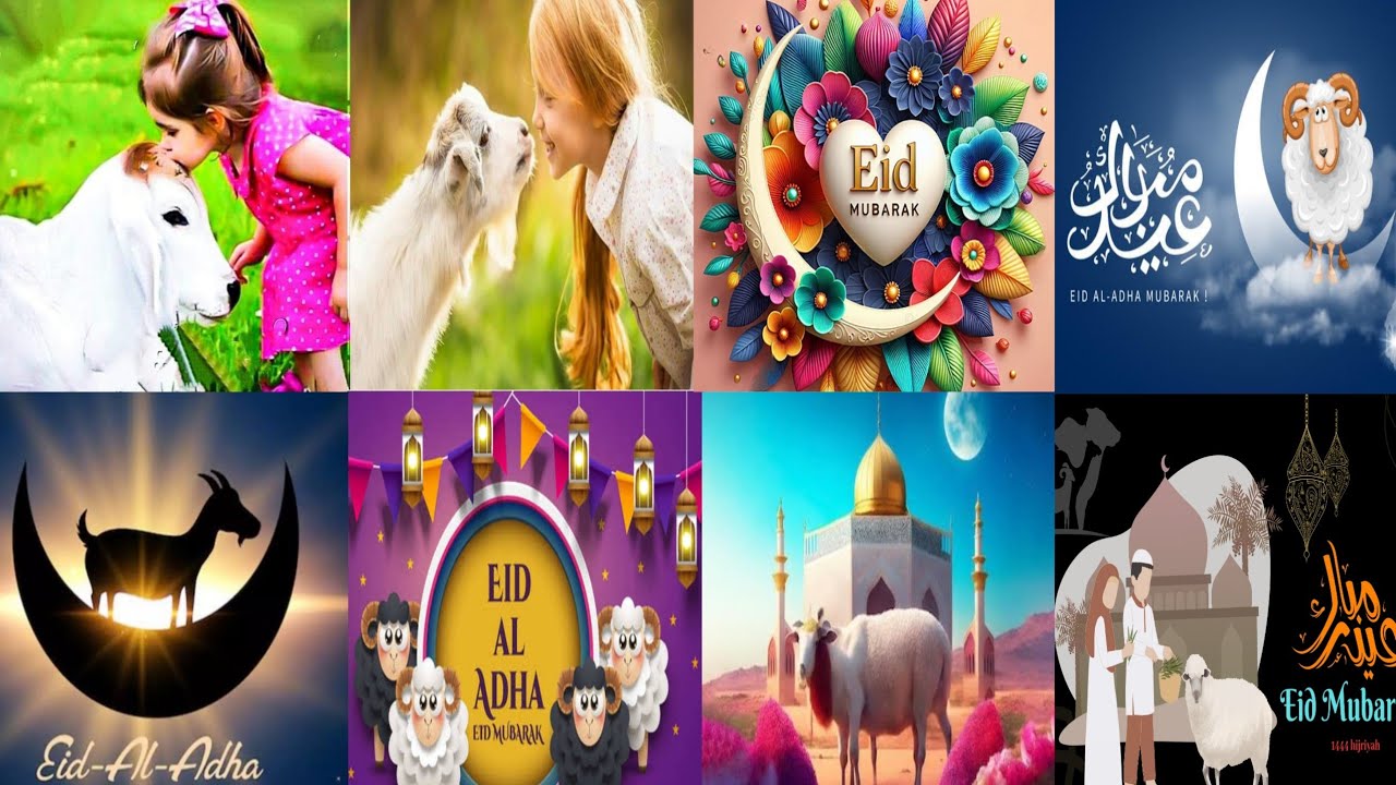 Eid ul adha dpz | Eid ul adha Whatsapp dp | Bakra Eid Mubarak dp  | Eid ul adha Status video