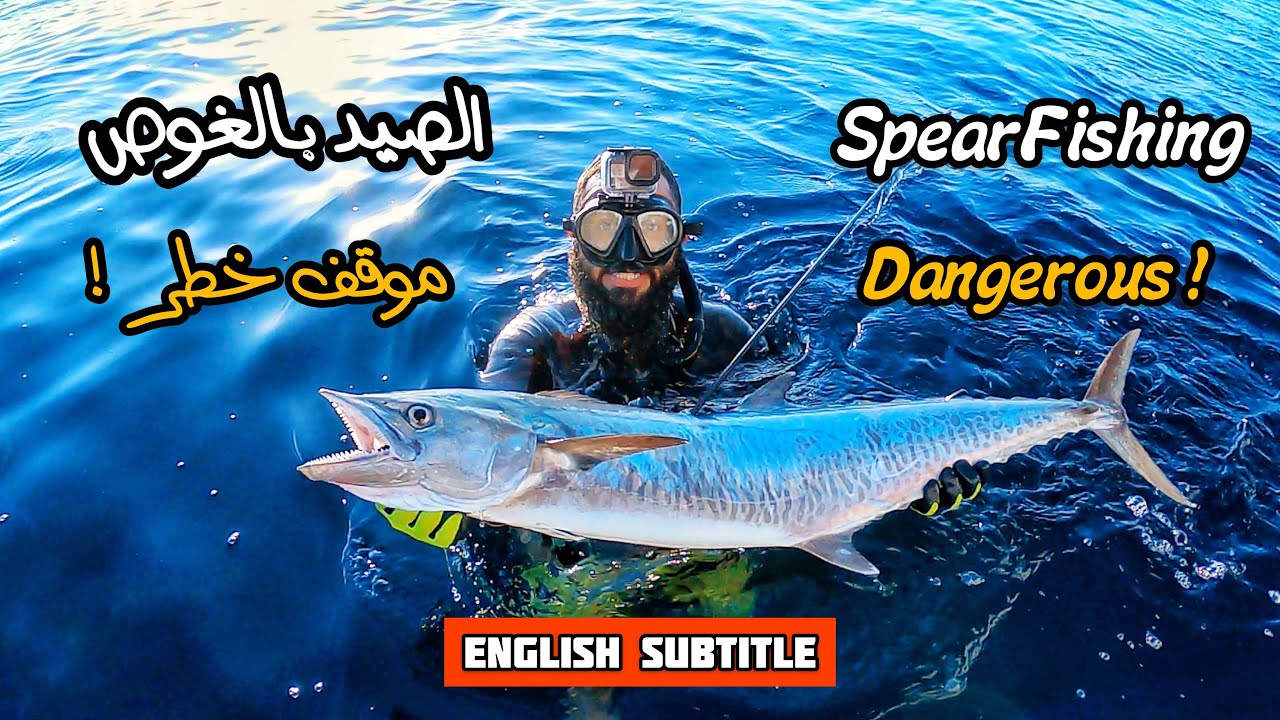 آخر طلعة صيد غوص بالموسم 2021 - موقف خطير !Spearfishing