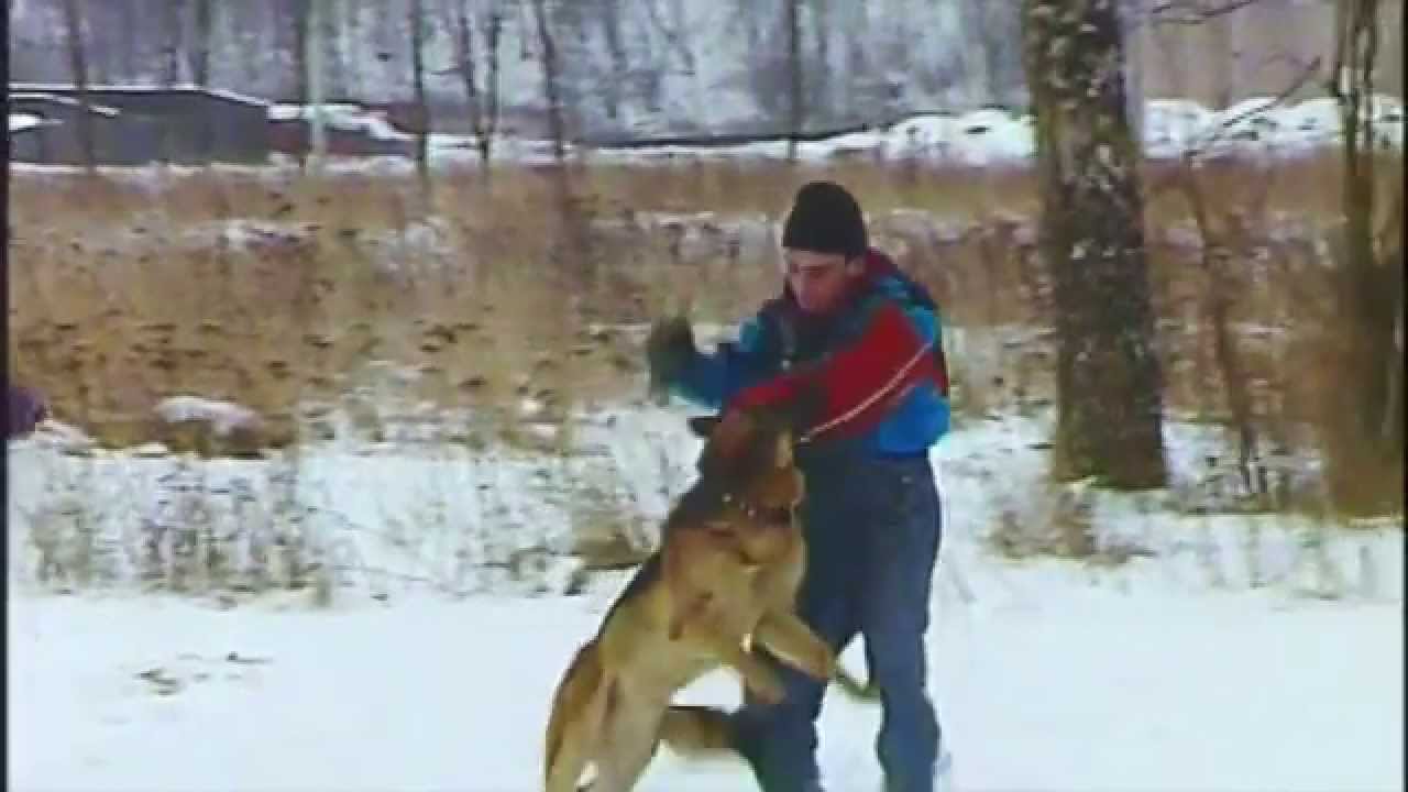 Диалоги о животных-1994. Фрагмент 