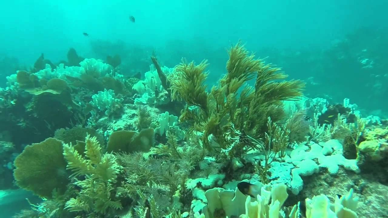 Key Largo 2014