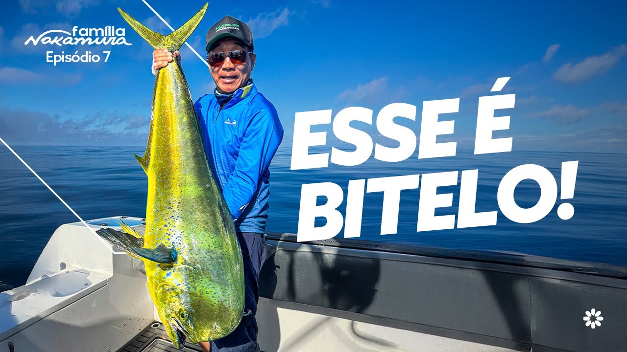 DOURADOS DO MAR: Pesca Oceânica de Tirar o Fôlego