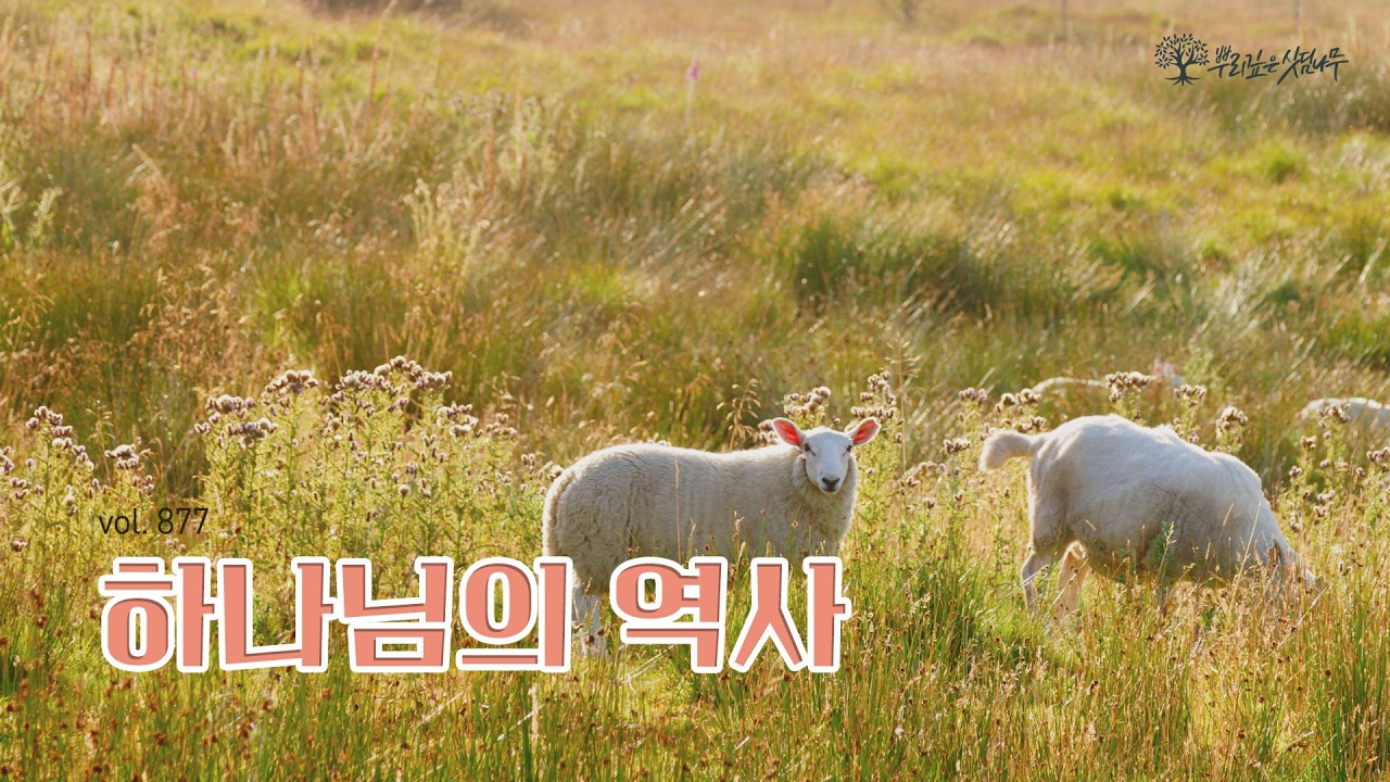 뿌리깊은 싯딤나무 877화 '하나님의 역사' #jbch #생말선 #생명의말씀선교회 #대한예수교침례회 #성경강연회[뿌리깊은 싯딤나무]당신의 영혼을 위한 생명의 말씀 선교회