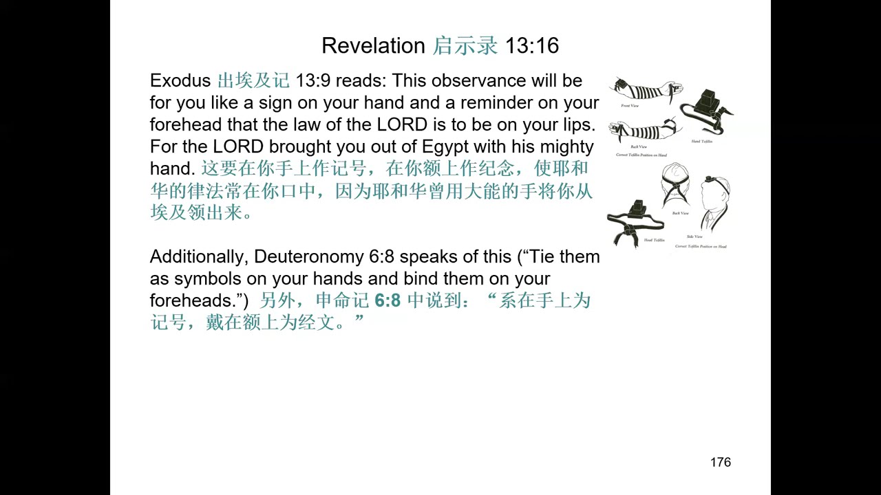 Revelation 启示录 13 (3) (2nd ed.)