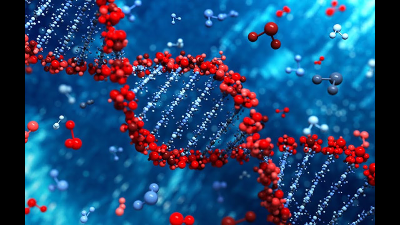 Gene targeting