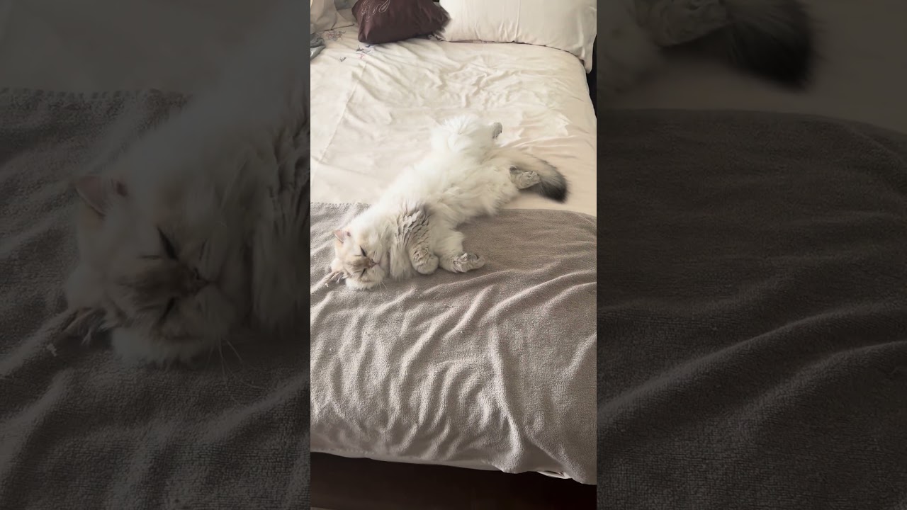 Let’S see things together- Beauty sleep, do not disturb 