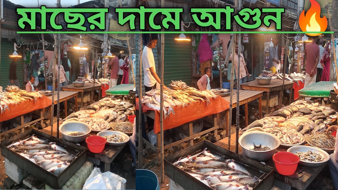 বিশাল মাছের বাজার।।  টাটকা সব মাছ তবে মাছের দাম!! 