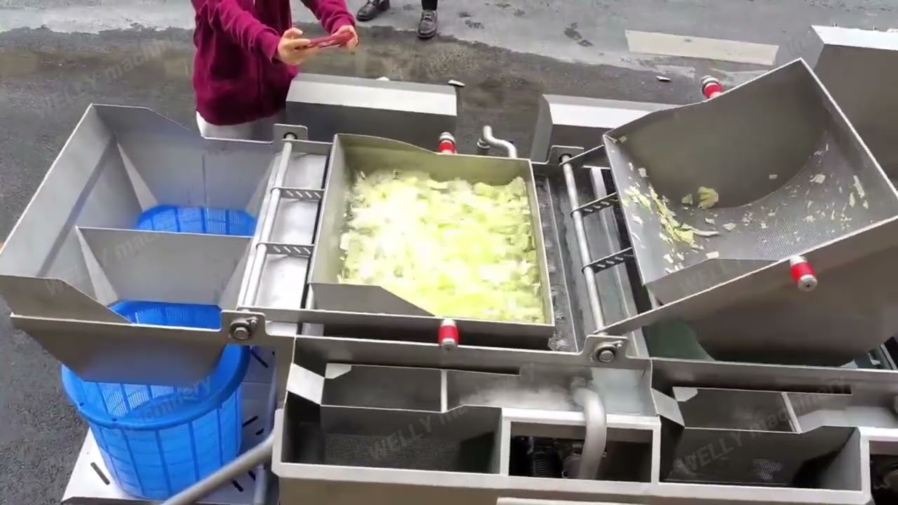 Two stage vortex washing machine, vegetable washer #vegetables