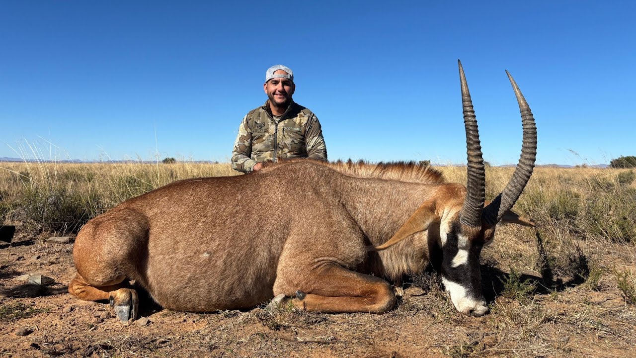 Roan hunt, Kei Valley Safaris 