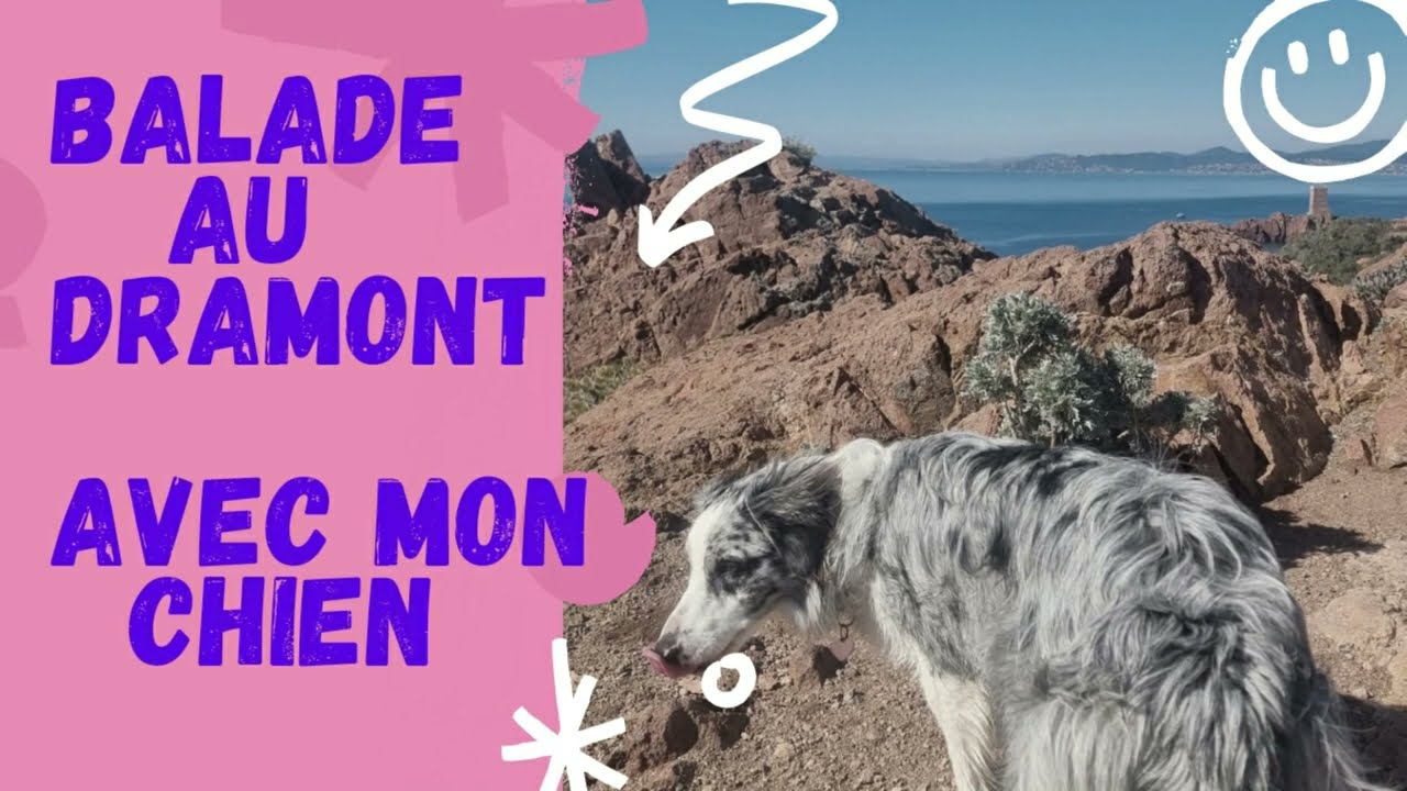 LE DRAMONT Sentier du Littoral du Cap Dramont Avec Mon Chien