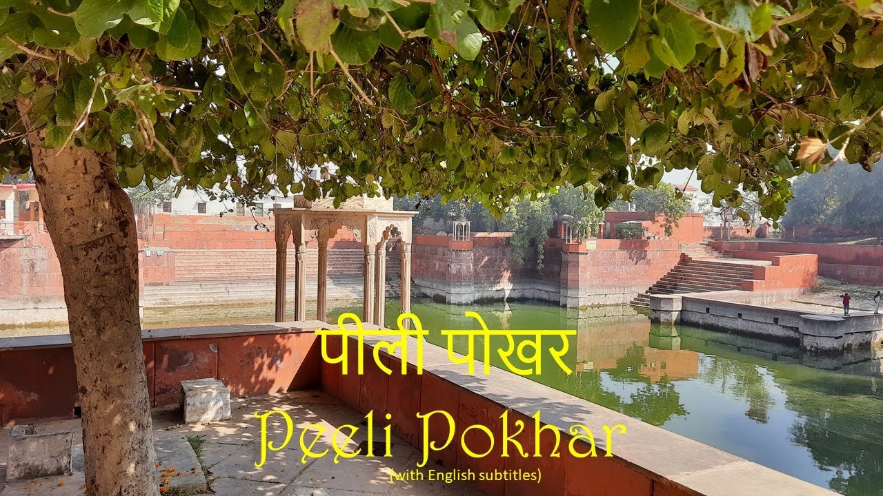 Peeli Pokhar (Pili Pokhar) at Barsana | Priya Kund | Piyal Kund || Radha Dasi