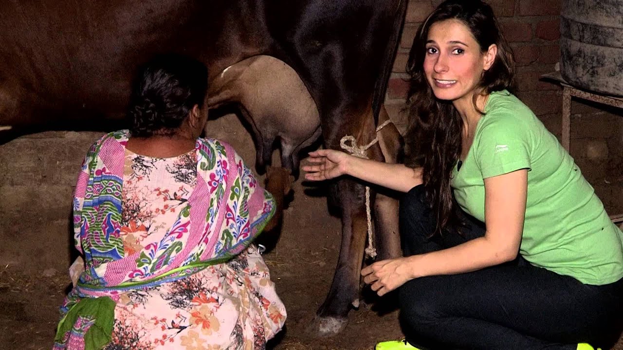 Ramona Arena's Lassi Challenge - Part 1