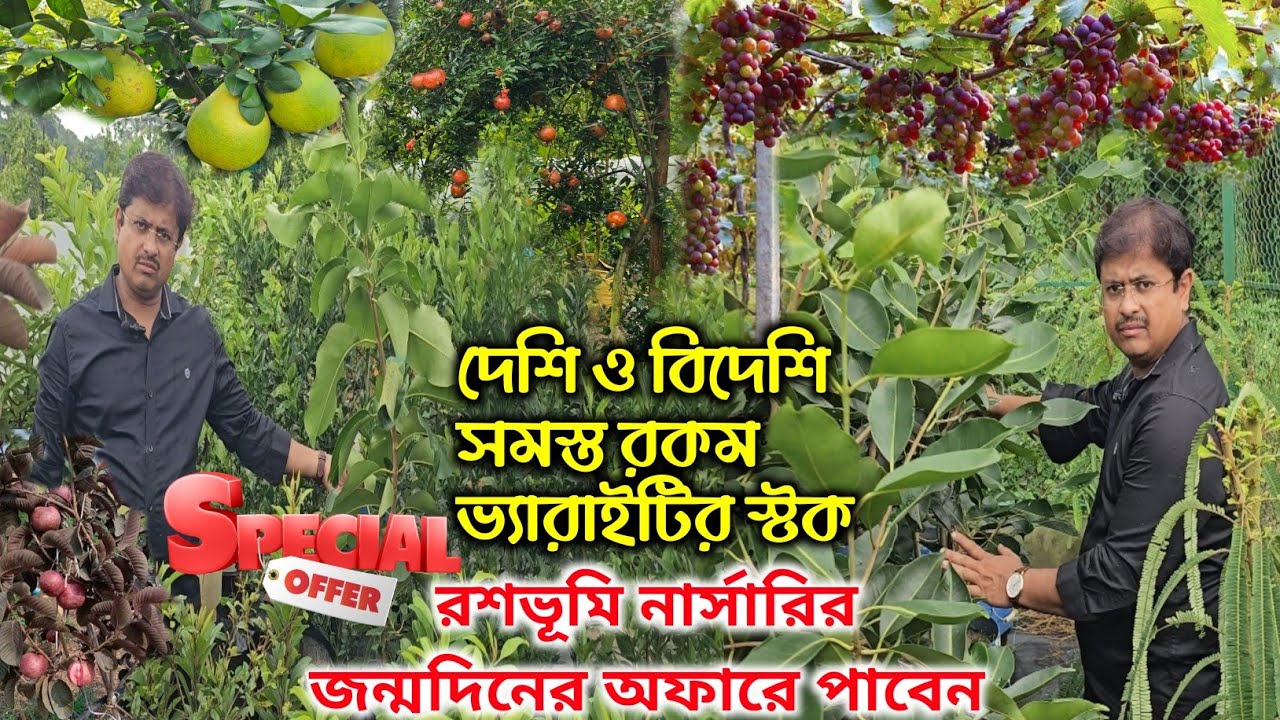 বেদানা,আঙুর,লংগান,পেয়ারা,জাম সহ সবরকম ফলের গাছ পাবেন রশভূমির জন্মদিন আফারে।