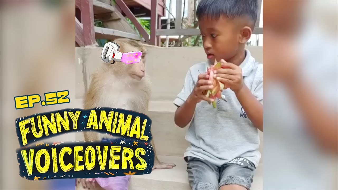 Best Animal Voiceovers - Ep. 52